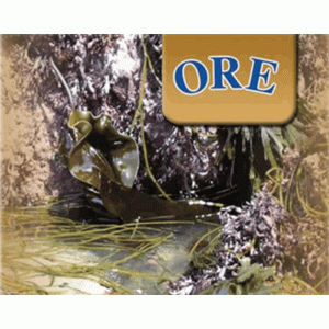 ORE Poudre d'algues Marine amincissante