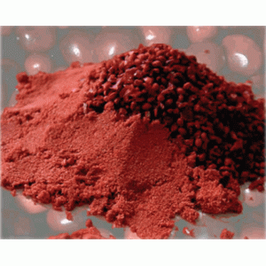 ORE Poudre de canneberges micronisées