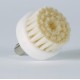 Brosse en poils naturels (Cirrus)