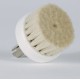 Brosse en poils naturels (Cirrus)